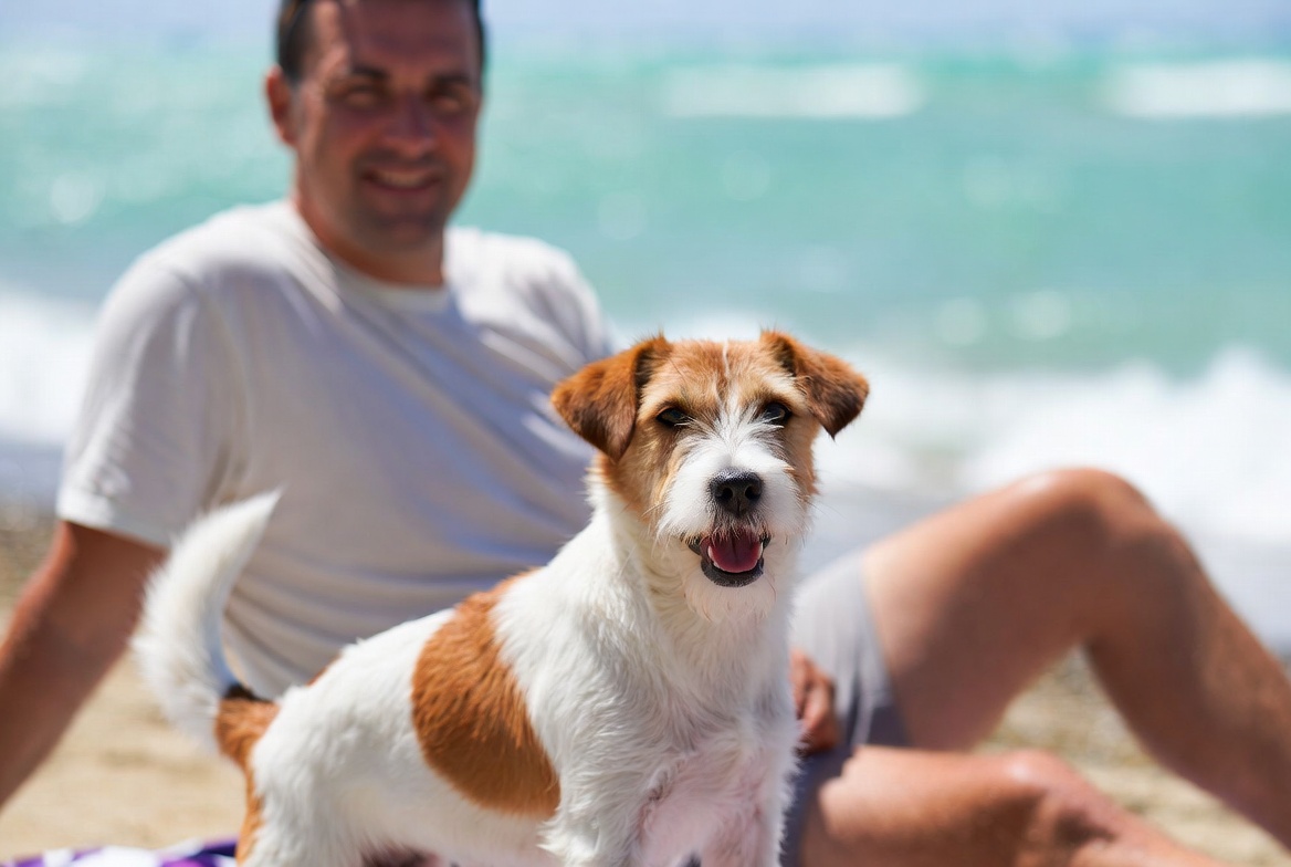 https://images-it.epochtimes.it/uploads/2026/07/cane-spiaggia-assieme-padrone.jpg