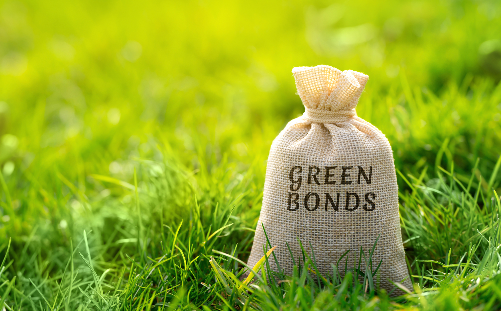 Cosa sono i green bond corporate